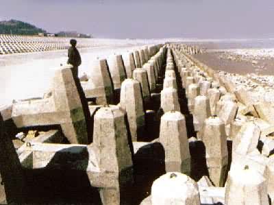 �㽭������ɽ�˵�վ���˹���