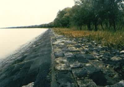 ���պ�������