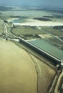 �ƺ���ƽ���ֺ����ֺ��բȺ������Ϊʯ��բ