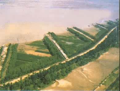 �ƺ���Ĳ�λ��������̻�