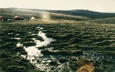 �ƺ�Դͷ�������տ���ɽ��´