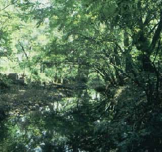 ɽ���ǲ�����ʼ����ս������