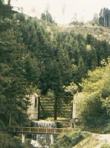 �µ�����դ��