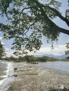 �����˰���������ƽ�������������������բ�˺ӣ�ʼ���ڹ�Ԫǰ219��