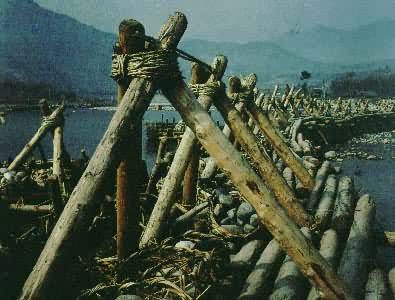 �鶣����ڵ�ˮ������������ľ�񹹼�