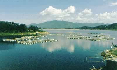 ��������ˮ�⣬�׶���ˮԴ���̣�1960�꿢����ͼΪ�ÿ����������