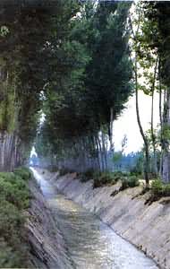 ����������и�����������