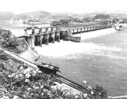 ��̶��ˮ��Ŧ