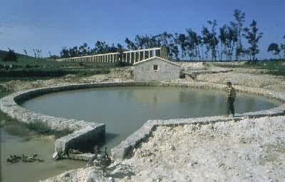 ��ھ�����ֱ��Լ2��8m��Ͳ��