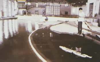 ������Ͽˮ����Ŧ���岼��ģ��