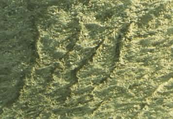 �й�������ԭ����ϸ����ʴ