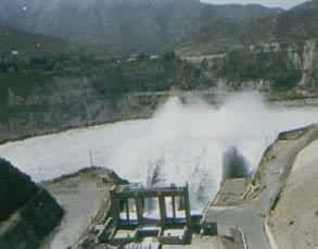 �ͻ�˹̹���������󰶹����������