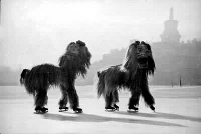 ͼ1��������ʨ��