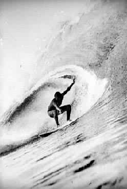 �����˶�