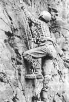 ͼ3����������������