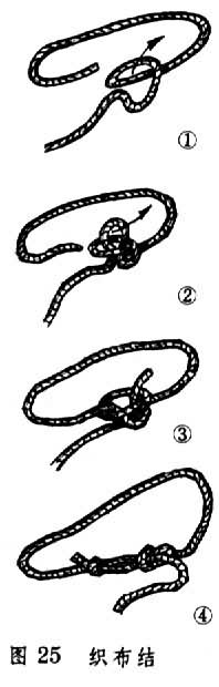 ͼ25