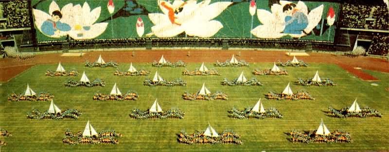 ȫ�˻���������5