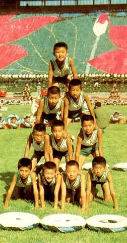 ȫ�˻���������