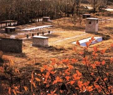 ����������ɵ��г�