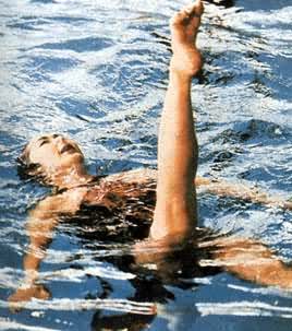 ������Ӿ