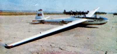 �߼������