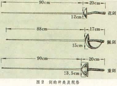 ͼ2