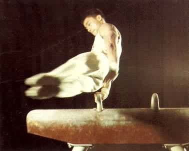 ����������ŵ���