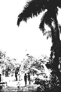 ���ݶ�ɳͷ��ˮ��