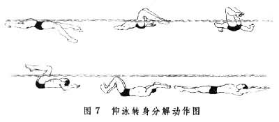 ͼ7