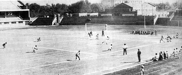 �����˶�