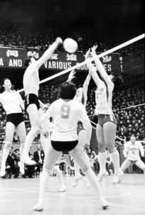 ͼ3����������