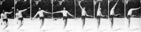 ͼ1�����ַ�Ʈ����������ͼ