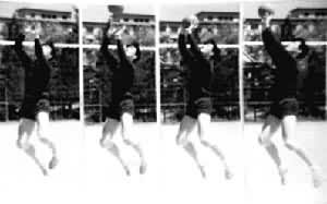 ͼ3��������������ͼ