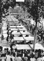 ͼ7��СѧУ԰���ƹ������