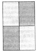 ƹ����˫������ʾ��ͼ