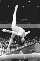 ͼ1��ƽ��ľ����