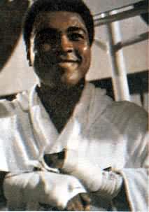 ��������ȭ���˶�ԱM.����