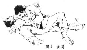 ͼ1