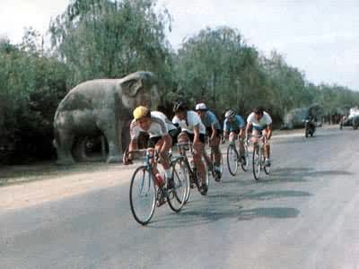 ��·���г�����