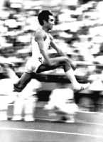 ͼ1��������Զ