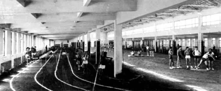 �ﾶ������ѵ����