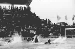 ͼ1��ˮ���˶�