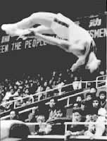 ͼ1����������