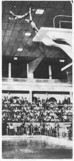 ͼ1��˫����ˮ����