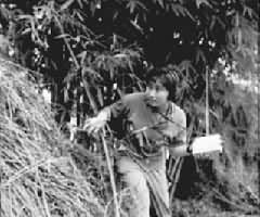 �˶�Ա�ò����Ѱ�����ε�̨