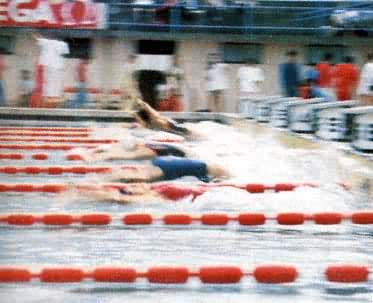 ��Ӿ������������