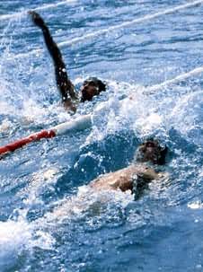 ��Ӿ����