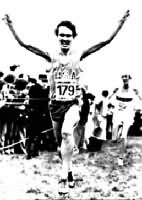 ͼ1����������ԽҰ�ܽ�����