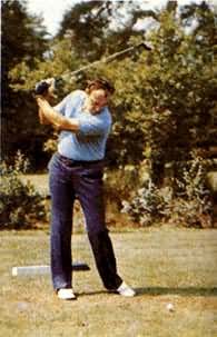 ��߶�����