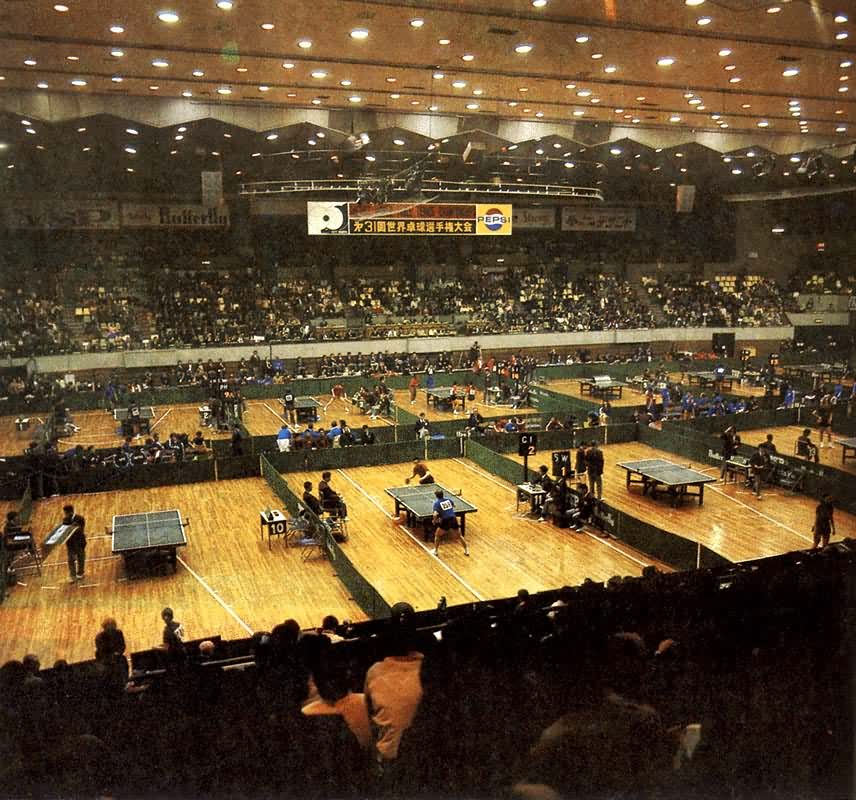 ��31������ƹ���������